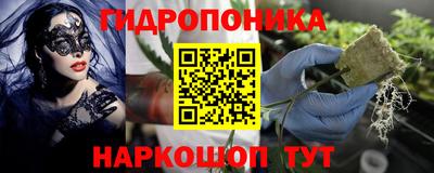 гидра Уссурийск