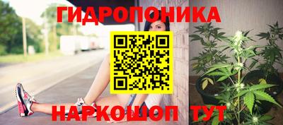 гидра Уссурийск